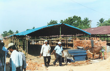 w Shelter Construction